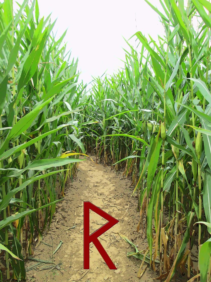Sometimes, life feels like a corn maze where the walls of experience twist and turn, making it difficult to see the path ahead. Am I doing the right thing? Should I keep walking this way? Rad (Radio) is the Rune that helps us move forward in the right direction even though we are unsure of the way. 