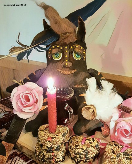 Taco Cat casts a love spell with bird seed cakes and a red candle. As the birds eat the seeds, love will come into his life.